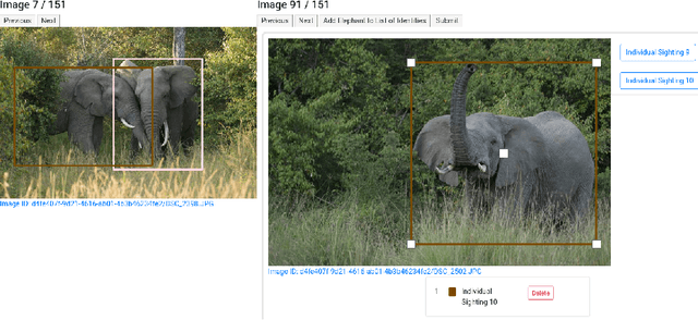 Figure 4 for ElephantBook: A Semi-Automated Human-in-the-Loop System for Elephant Re-Identification