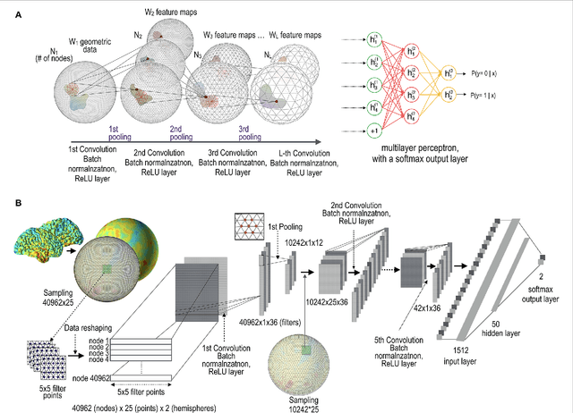 Figure 1 for Geometric Convolutional Neural Network for Analyzing Surface-Based Neuroimaging Data
