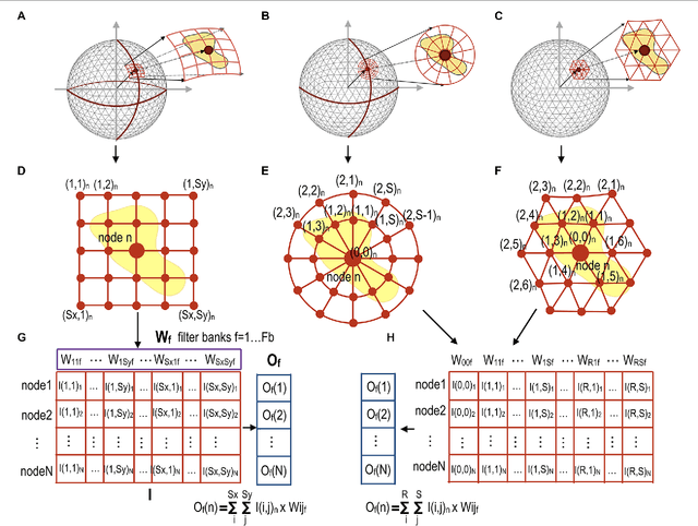 Figure 2 for Geometric Convolutional Neural Network for Analyzing Surface-Based Neuroimaging Data