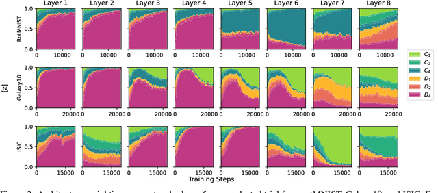 Figure 4 for Architectural Optimization over Subgroups for Equivariant Neural Networks