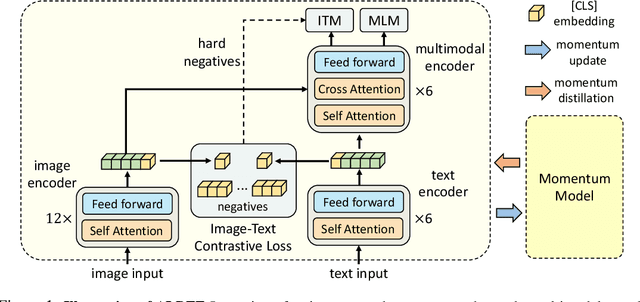 Figure 1 for Align before Fuse: Vision and Language Representation Learning with Momentum Distillation