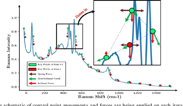 Figure 1 for One-dimensional Active Contour Models for Raman Spectrum Baseline Correction