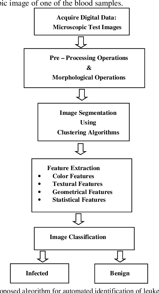 Figure 1 for Automated Detection of Acute Leukemia using K-mean Clustering Algorithm