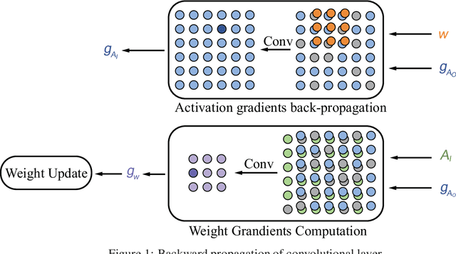 Figure 1 for Accelerating CNN Training by Sparsifying Activation Gradients