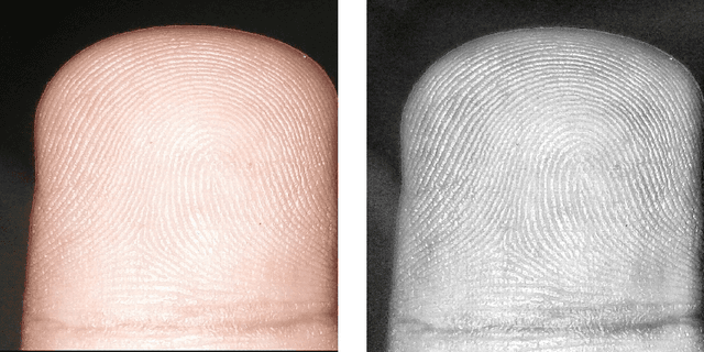 Figure 3 for Fingerprint Extraction Using Smartphone Camera