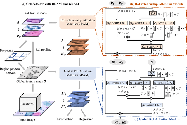 Figure 3 for Exploring Contextual Relationships for Cervical Abnormal Cell Detection