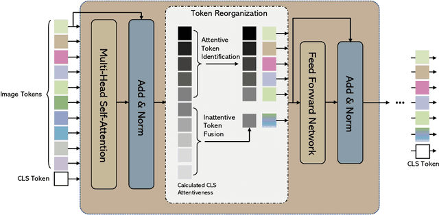 Figure 3 for Not All Patches are What You Need: Expediting Vision Transformers via Token Reorganizations