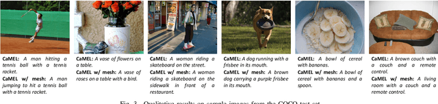 Figure 3 for CaMEL: Mean Teacher Learning for Image Captioning