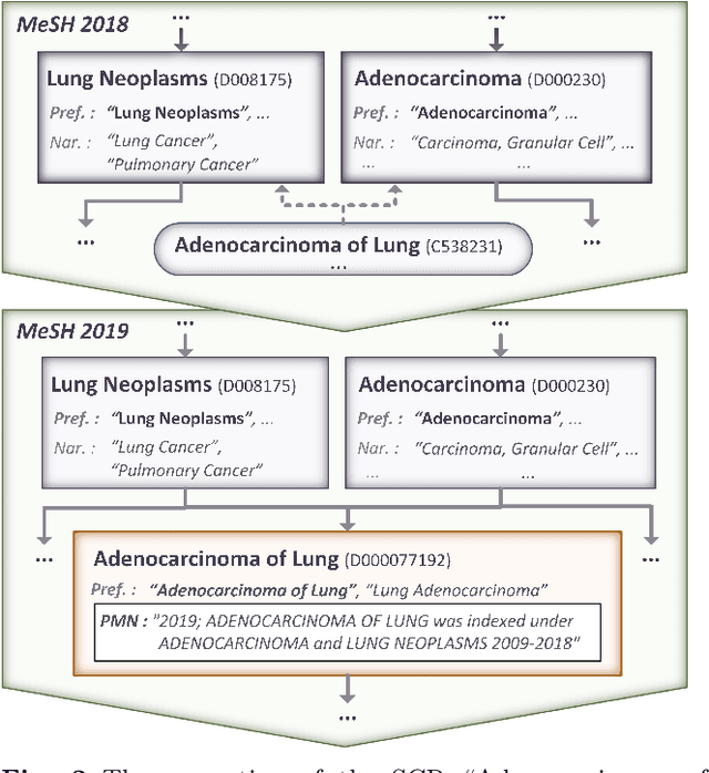 Figure 3 for What is all this new MeSH about? Exploring the semantic provenance of new descriptors in the MeSH thesaurus