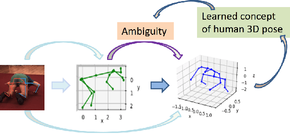 Figure 1 for Lifting 2D Human Pose to 3D with Domain Adapted 3D Body Concept