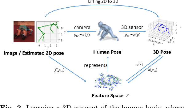 Figure 3 for Lifting 2D Human Pose to 3D with Domain Adapted 3D Body Concept