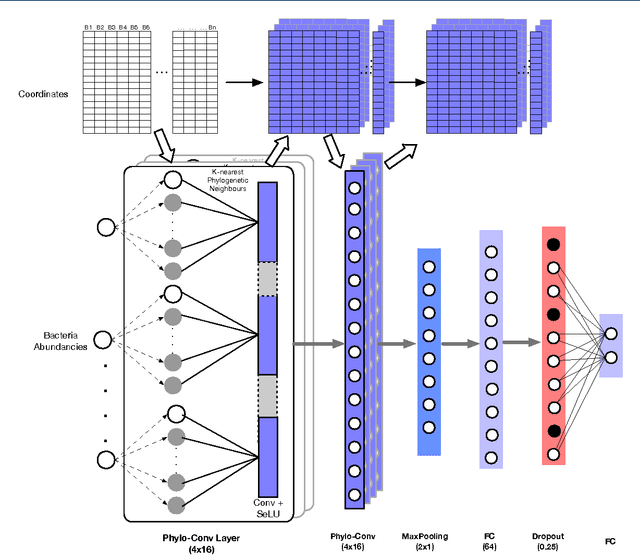 Figure 3 for Phylogenetic Convolutional Neural Networks in Metagenomics