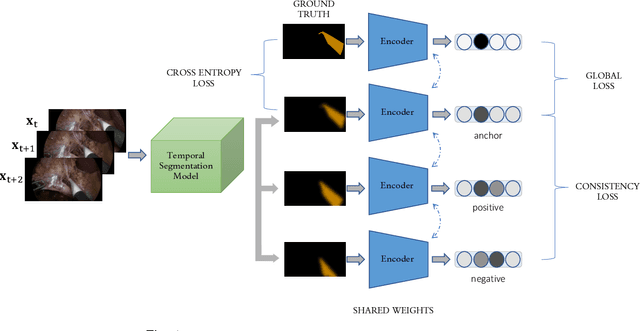 Figure 1 for Temporally Constrained Neural Networks (TCNN): A framework for semi-supervised video semantic segmentation
