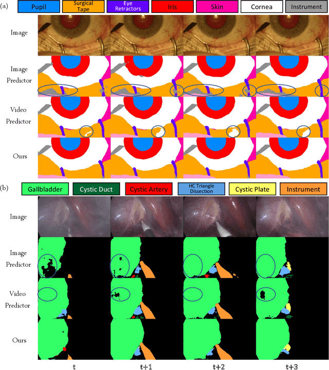 Figure 4 for Temporally Constrained Neural Networks (TCNN): A framework for semi-supervised video semantic segmentation