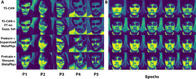 Figure 4 for MetaPhys: Unsupervised Few-Shot Adaptation for Non-Contact Physiological Measurement