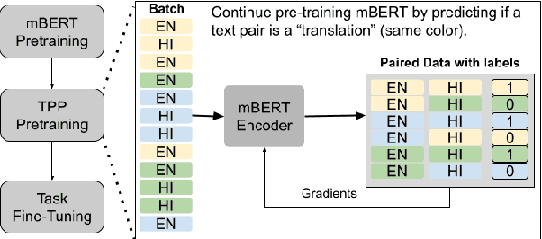 Figure 3 for Improved Multilingual Language Model Pretraining for Social Media Text via Translation Pair Prediction