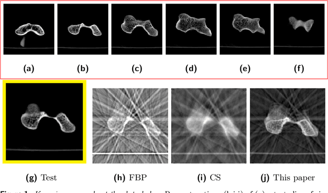 Figure 1 for Tomographic reconstruction to detect evolving structures