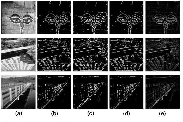 Figure 3 for Toward Designing Intelligent PDEs for Computer Vision: An Optimal Control Approach