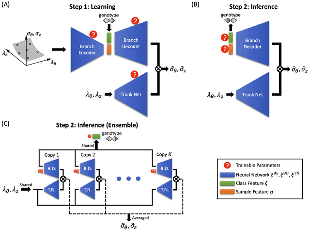 Figure 3 for G2Φnet: Relating Genotype and Biomechanical Phenotype of Tissues with Deep Learning
