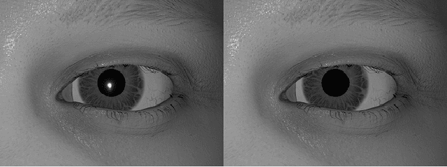 Figure 2 for RIT-Eyes: Rendering of near-eye images for eye-tracking applications