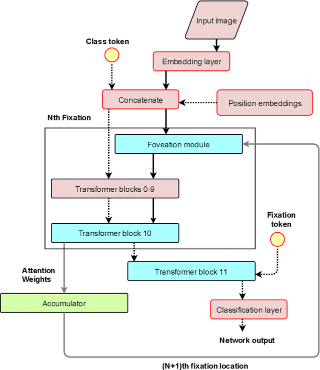 Figure 1 for FoveaTer: Foveated Transformer for Image Classification