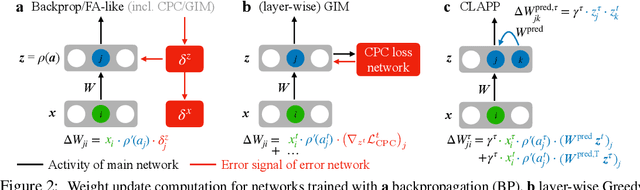 Figure 2 for Towards truly local gradients with CLAPP: Contrastive, Local And Predictive Plasticity