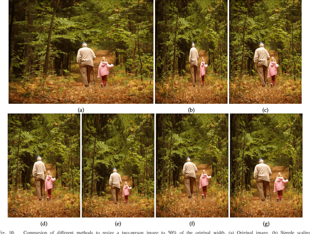 Figure 2 for Image retargeting via Beltrami representation