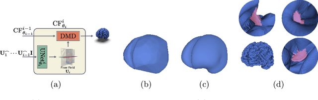 Figure 1 for CorticalFlow$^{++}$: Boosting Cortical Surface Reconstruction Accuracy, Regularity, and Interoperability