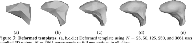 Figure 4 for Weakly Supervised Volumetric Image Segmentation with Deformed Templates