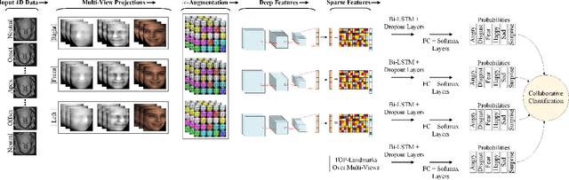 Figure 3 for Sparsity-Aware Deep Learning for Automatic 4D Facial Expression Recognition