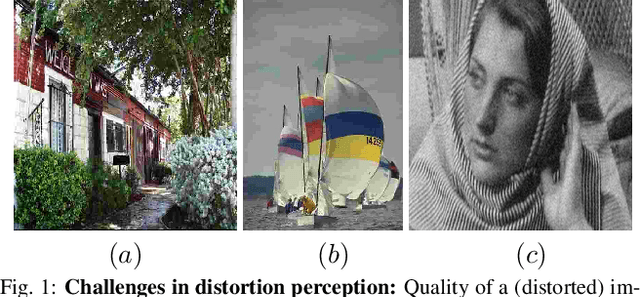 Figure 1 for From Patches to Pictures (PaQ-2-PiQ): Mapping the Perceptual Space of Picture Quality