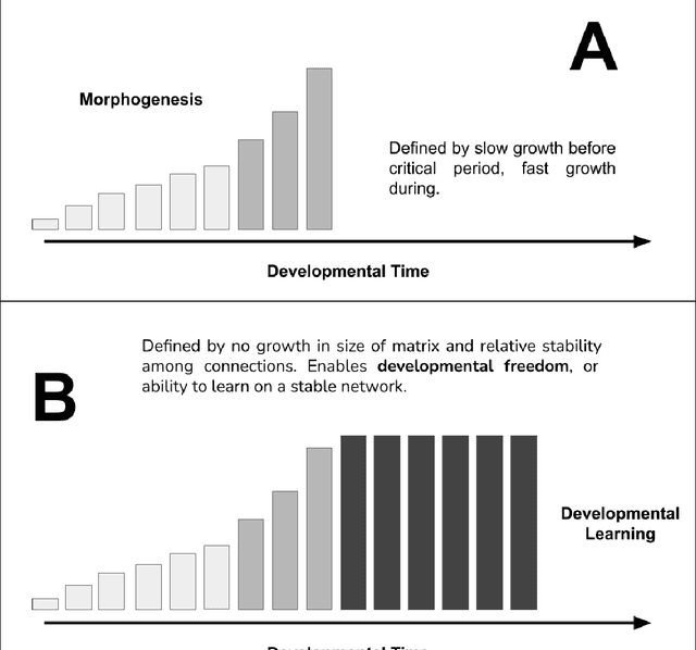 Figure 3 for Embodied Continual Learning Across Developmental Time Via Developmental Braitenberg Vehicles