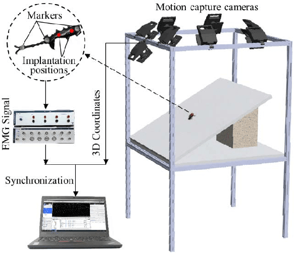 Figure 3 for Toward the smooth mesh climbing of a miniature robot using bioinspired soft and expandable claws