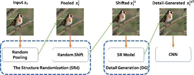 Figure 1 for RAIN: Robust and Accurate Classification Networks with Randomization and Enhancement