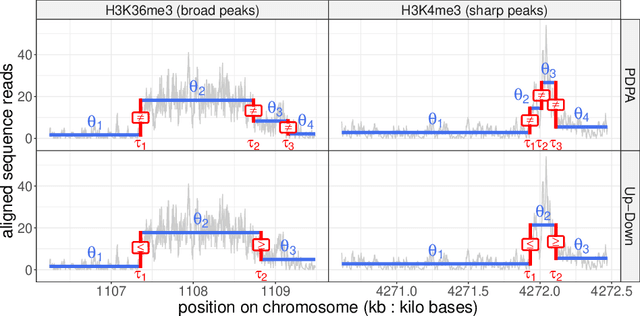 Figure 1 for Increased peak detection accuracy in over-dispersed ChIP-seq data with supervised segmentation models