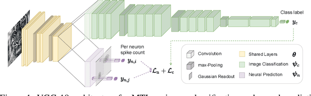 Figure 1 for Towards robust vision by multi-task learning on monkey visual cortex