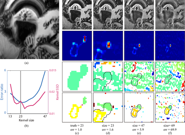 Figure 1 for Understanding kernel size in blind deconvolution