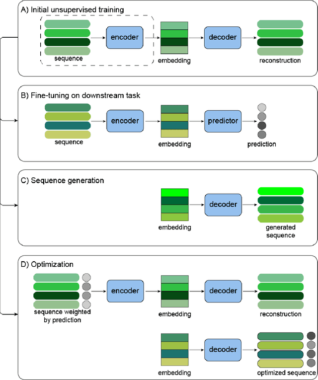 Figure 1 for Protein sequence design with deep generative models