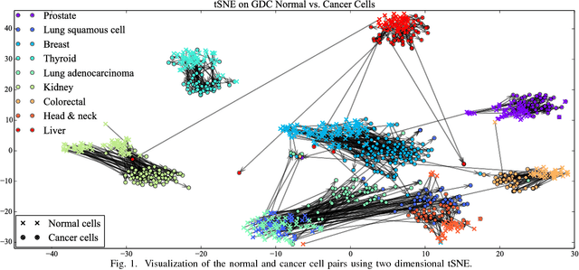 Figure 1 for Distinguishing between Normal and Cancer Cells Using Autoencoder Node Saliency