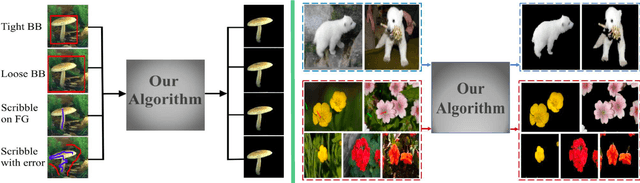 Figure 1 for Dominant Sets for "Constrained" Image Segmentation