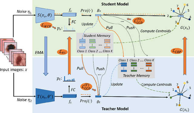 Figure 1 for Categorical Relation-Preserving Contrastive Knowledge Distillation for Medical Image Classification