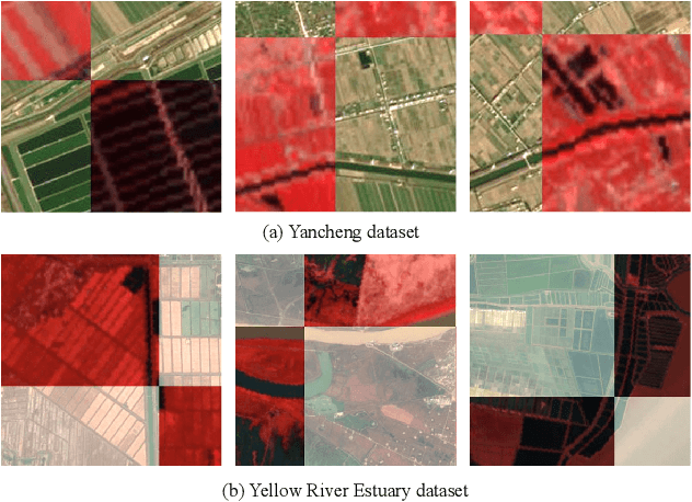 Figure 2 for Hyperspectral and Multispectral Classification for Coastal Wetland Using Depthwise Feature Interaction Network