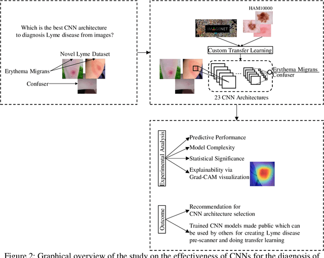 Figure 3 for Benchmarking convolutional neural networks for diagnosing Lyme disease from images