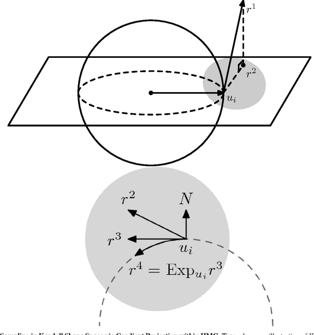 Figure 2 for Hierarchical Graphical Models for Multigroup Shape Analysis using Expectation Maximization with Sampling in Kendall's Shape Space