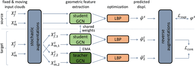 Figure 1 for Adapting the Mean Teacher for keypoint-based lung registration under geometric domain shifts