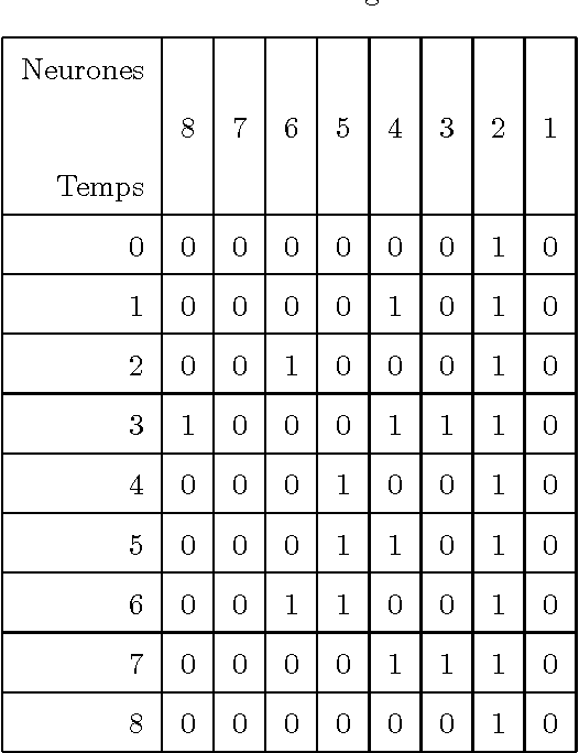 Figure 4 for Réseaux d'Automates de Caianiello Revisité