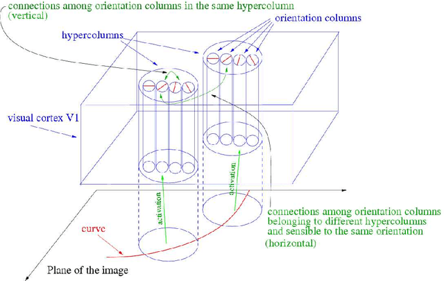 Figure 2 for Cortical-inspired image reconstruction via sub-Riemannian geometry and hypoelliptic diffusion