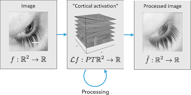 Figure 4 for Cortical-inspired image reconstruction via sub-Riemannian geometry and hypoelliptic diffusion