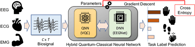 Figure 1 for quEEGNet: Quantum AI for Biosignal Processing