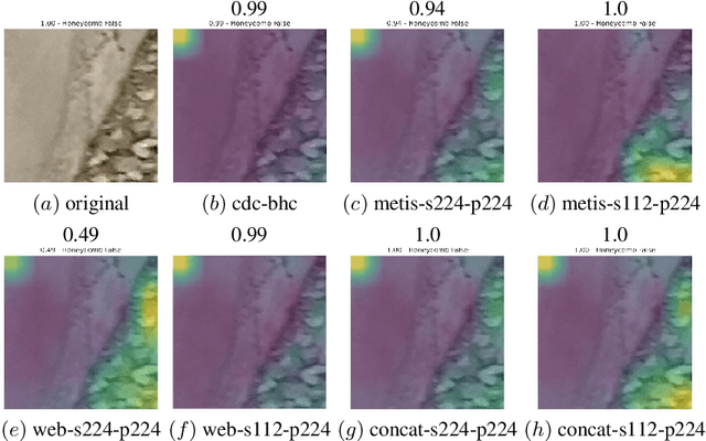 Figure 2 for Image-based Detection of Surface Defects in Concrete during Construction